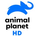 Animal planet